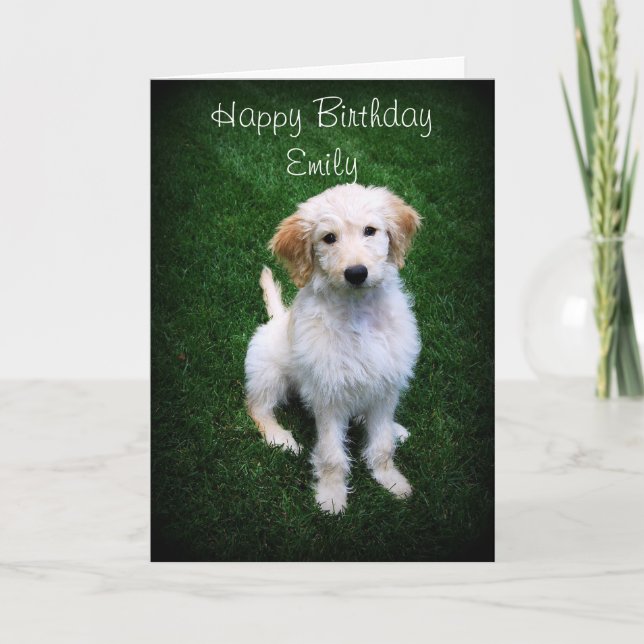 Carte Emily Joyeux Anniversaire Golden Doodle Chiot (Devant)