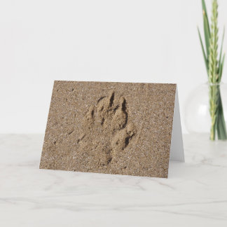 Carte Empreinte de patte de chien dans le sable
