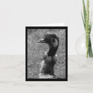 Carte Emu Nature Amateurs Sticker Vertical Noir Et Blanc