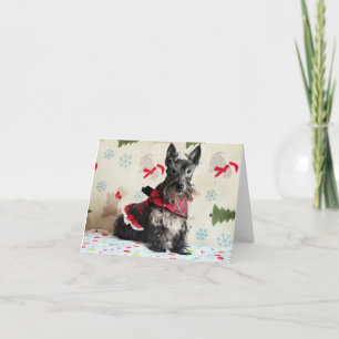 Carte En Attendant Santa Paws