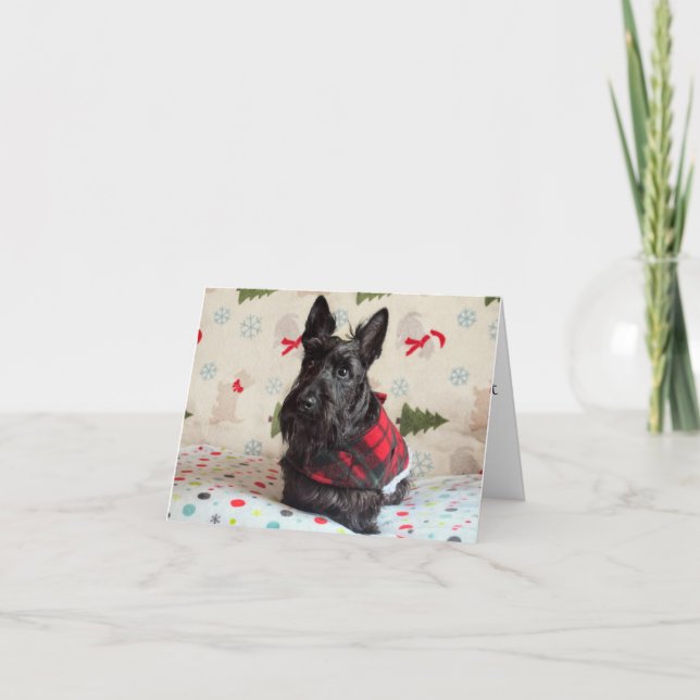 Carte en attente de Santa Paws (avec texte) (Devant)