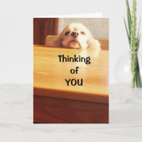 EN ESPÉRANT QUE VOUS VOUS SENTEZ "MIEUX" BIENTÔT !