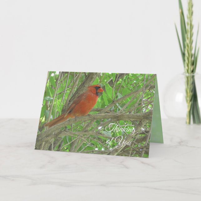 Carte En pensant à vous | Cardinal perché sur une branch (Devant)