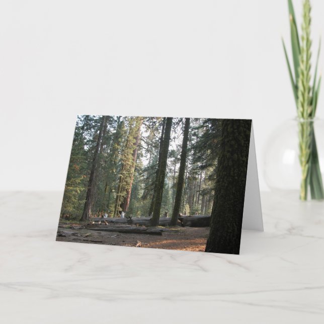 Carte En sierra Neveda (Devant)