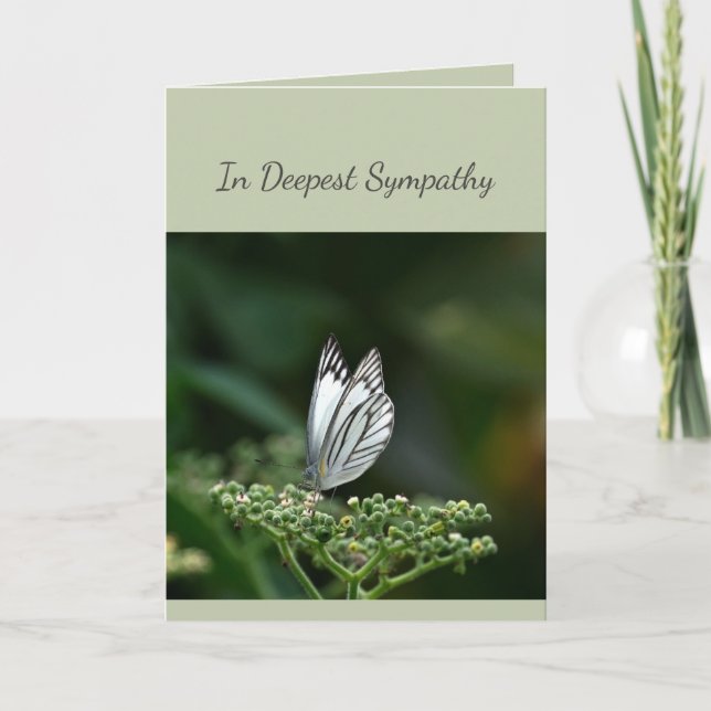 Carte En Sympathie profonde Aide en difficulté Papillon (Devant)