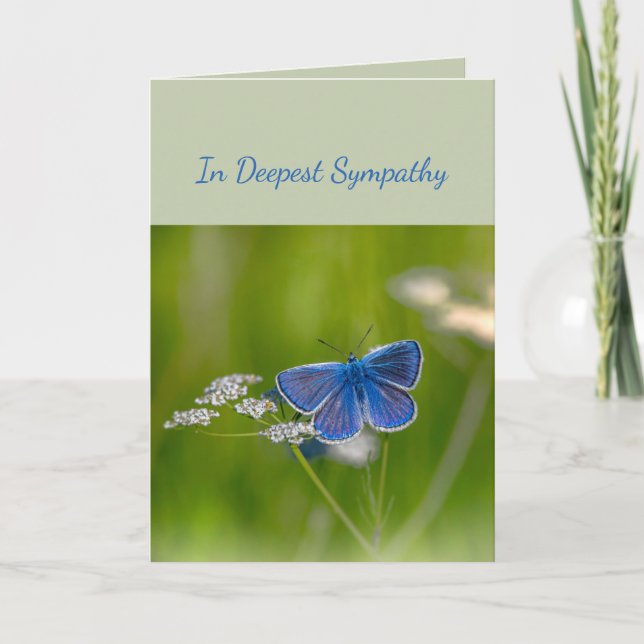 Carte En Sympathie profonde Aide en difficulté Papillon  (Devant)