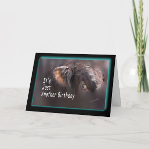 Carte Encore un anniversaire-personnaliser-il