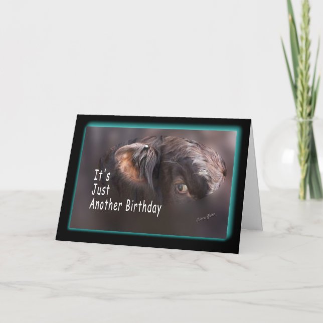 Carte Encore un anniversaire-personnaliser-il (Devant)