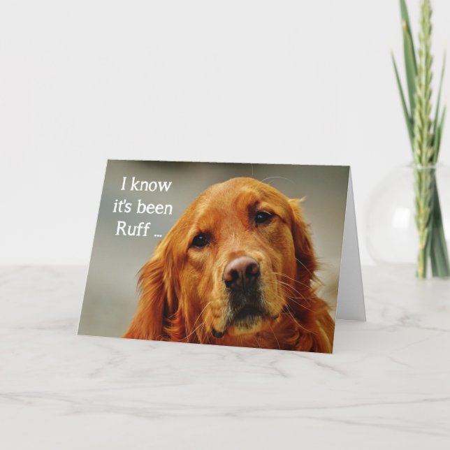 Carte Encouragement/ Bien S'Attaquer Golden Retriever Do (Devant)