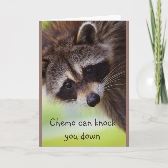 Carte Encouragement Chemo peut vous assommer Raccoon (Devant)