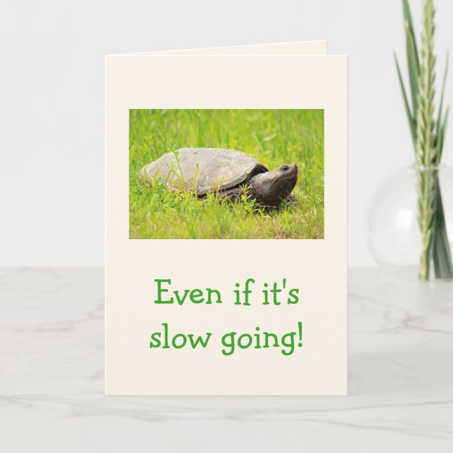 Carte Encouragement de la tortue (Devant)