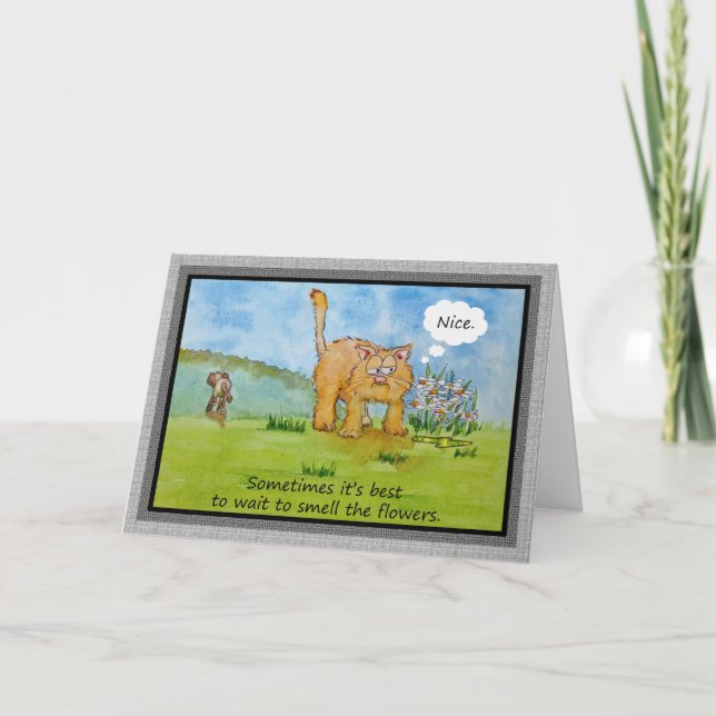 Carte Encouragement Funny Humour Chat Chien Vous Pouvez  (Devant)