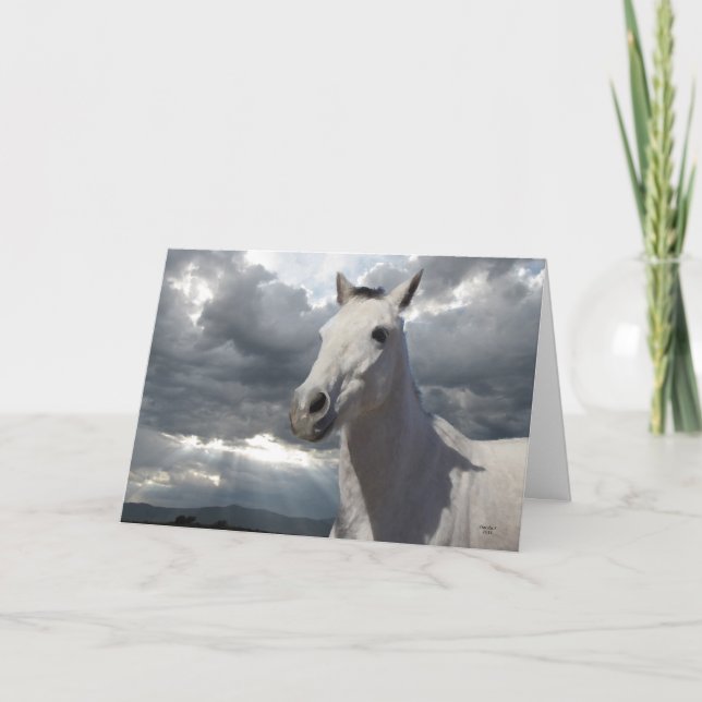 Carte Encouragement Horse Storm Card - Western (Devant)