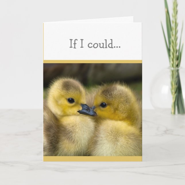 Carte Encouragement ou obtenir bien Cuddling Canettes (Devant)