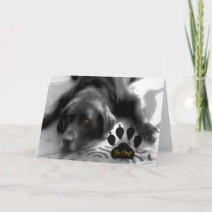 Carte Encouragement pour l'Amoureux des chiens du Labrad