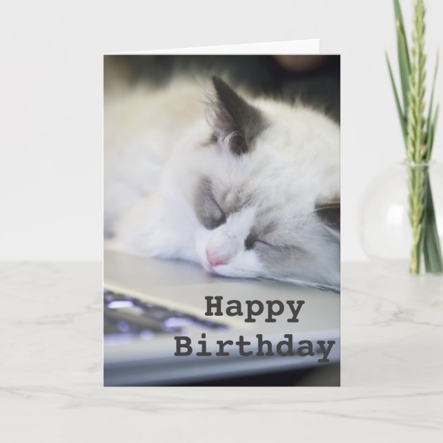 Carte endormie de joyeux anniversaire de chaton (Devant)