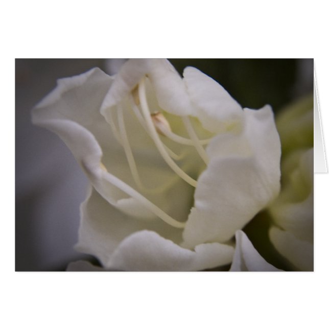 Carte énergie Divine (Devant horizontal)