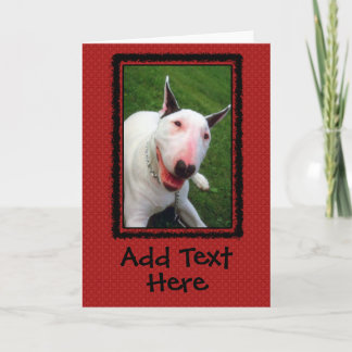 Carte English Bull Terrier Custom Greeting Card