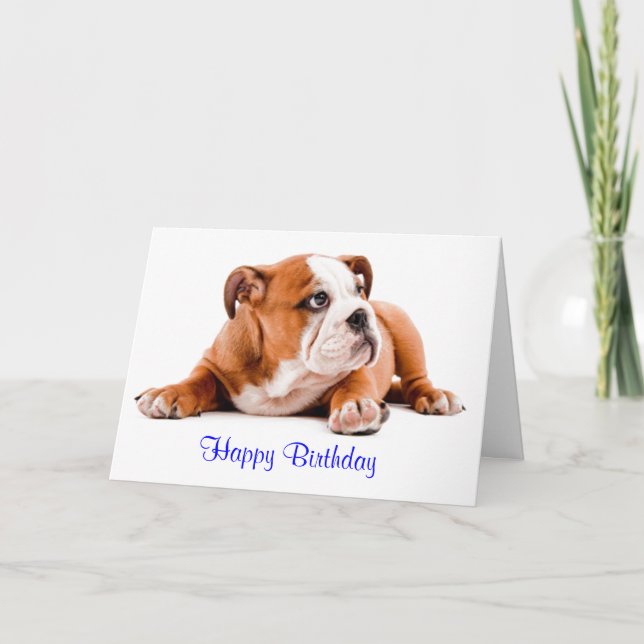 Carte English Bulldog Happy Birthday Card - Verset à l'i (Devant)