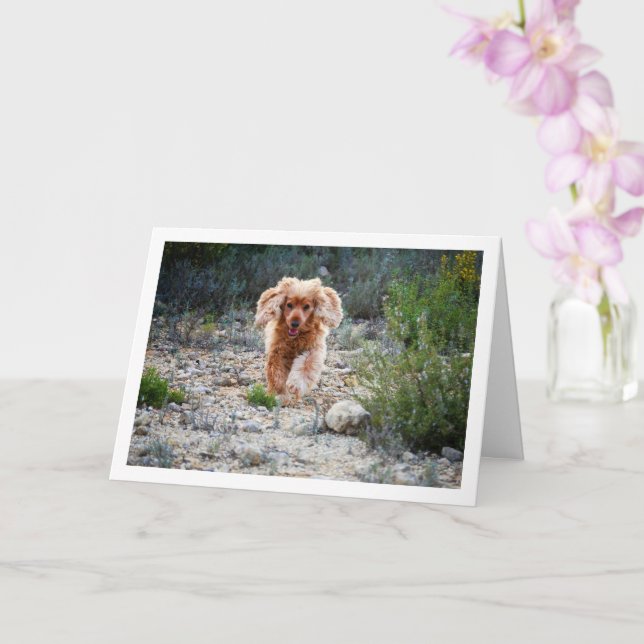 Carte English Cocker Spaniel courant à la campagne (Orchidée)