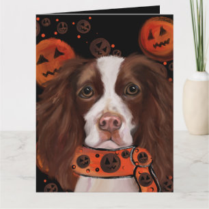Carte English Springer Spaniel       