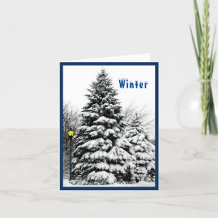 Carte Enseignement des quatre saisons de l'année