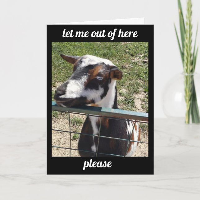 CARTE ENTENDRE QUE VOUS ÊTES "SOUS LE TEMPS" OBTENEZ LA  (Devant)