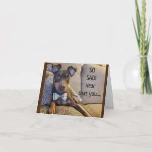 CARTE ENTENDU QUE VOUS NE VOUS SENTEZ PAS BIEN : (