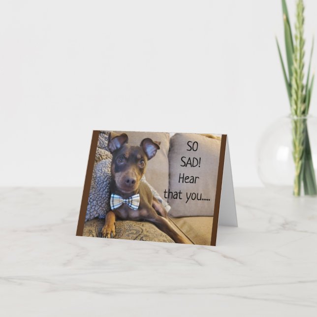 CARTE ENTENDU QUE VOUS NE VOUS SENTEZ PAS BIEN : ( (Devant)