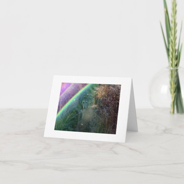 Carte Entrance to Rainbow Bridge (Devant)