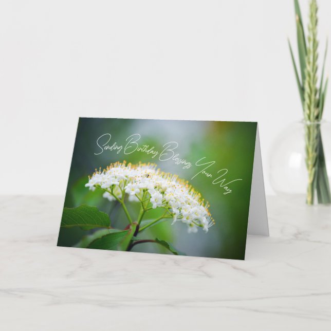 Carte Envoi de vœux d'anniversaire Fleur blanche  (Devant)