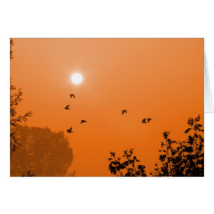 Carte Envolez-vous à l'aube