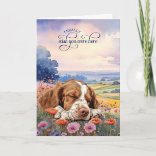 Carte Épagneul Breton Fleurs Sauvages Te Manque