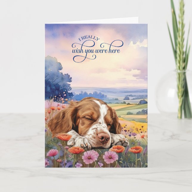 Carte Épagneul Breton Fleurs Sauvages Te Manque (Devant)