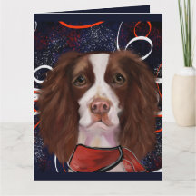 EPAGNEUL SPRINGER ANGLAIS