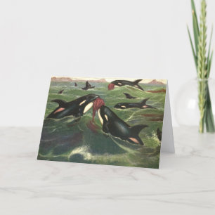 Carte Épaulards et Orques, Mammifères Marins Vintage