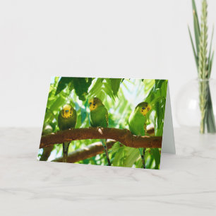 Carte Épouses vertes colorées sur une branche d'arbre