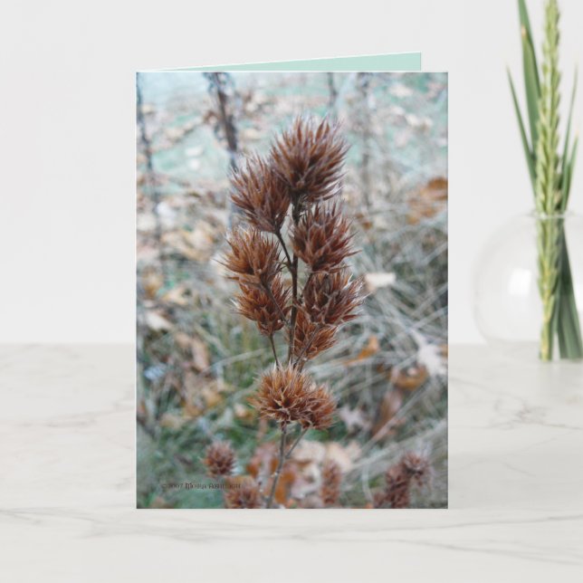 Carte Équateur (Devant)