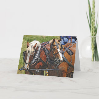 Carte Équipe de Belgique