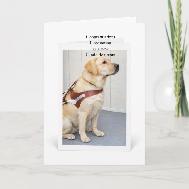Carte Équipe de chien guide jaune diplômé (Devant)