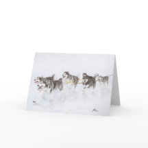 Équipe de Malamute d'Alaska fonctionnant par la