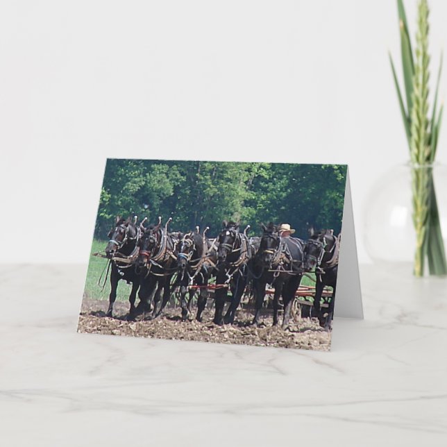 Carte Équipe de six chevaux (Devant)