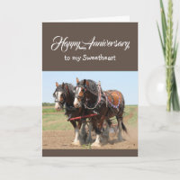 Équipe de Sweethee Birthday HORSE