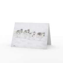 Équipe d'emballage de chien de traîneau de chien