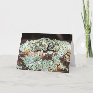 Carte Équipement agricole rouillé et brut