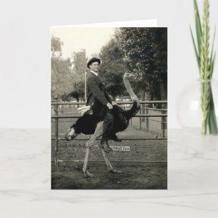 Carte Équitation 1910 d'autruche