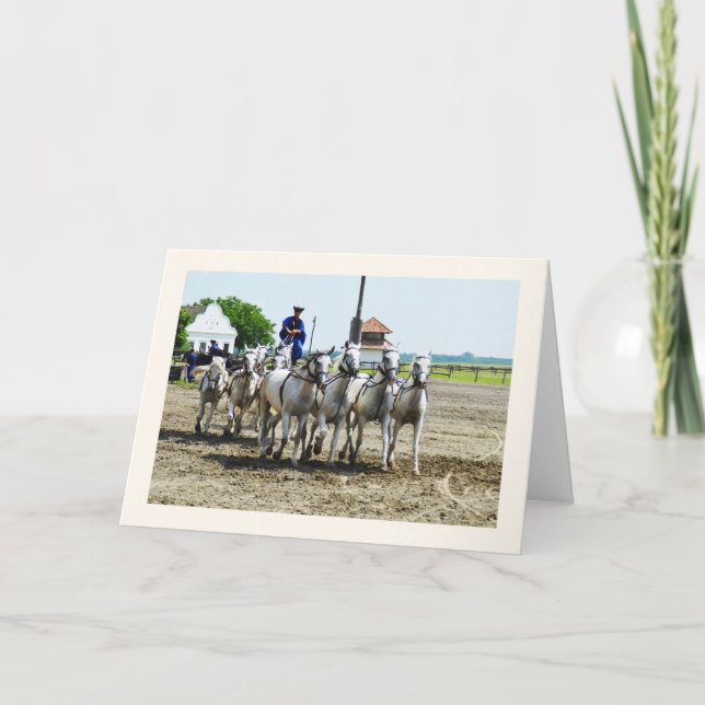 Carte Équitation hongroise (Devant)