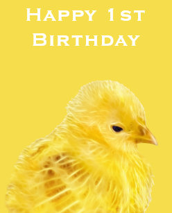 Cartes Poussin D Anniversaire Zazzle Fr Cartes Poussin D Anniversaire Zazzle Fr