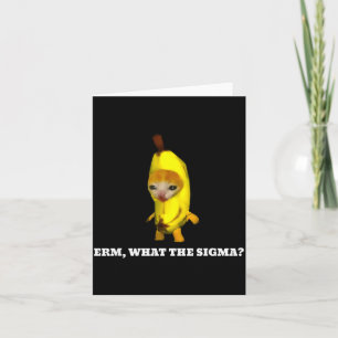 Carte Erm, Quel Sigma_ Mème de Chat Hommes Femmes Filles
