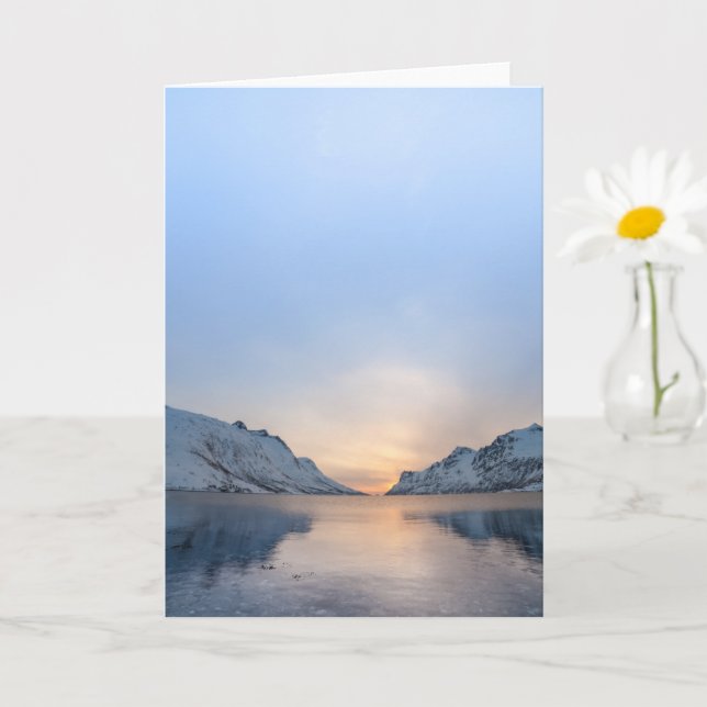 Carte Ersfjorden Kvaloya Norvège (Petite plante)